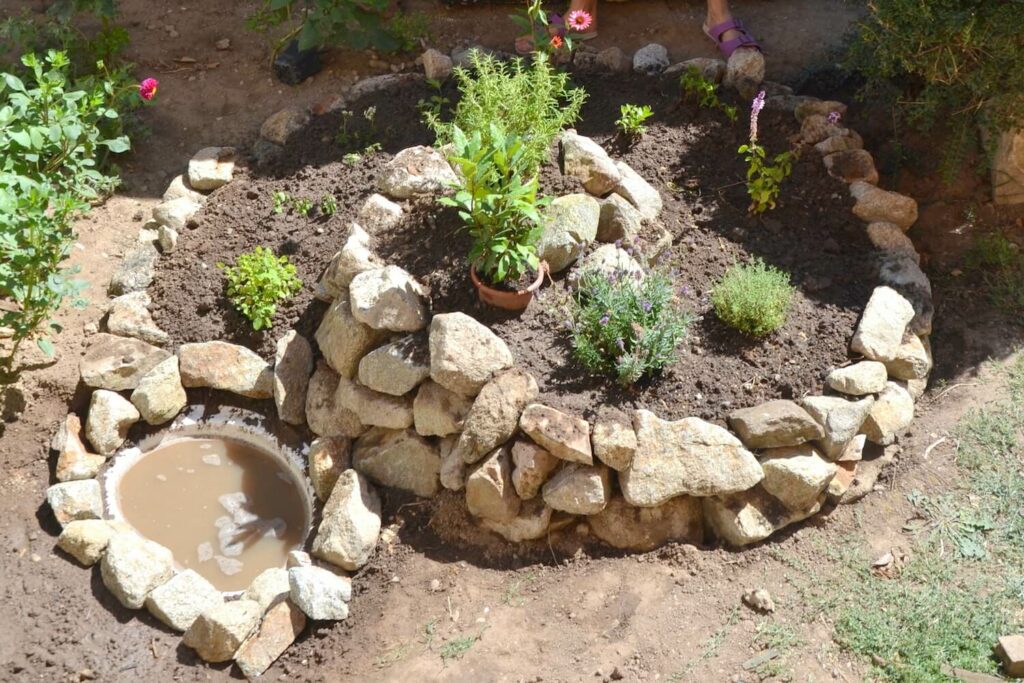 herb spiral with small pond