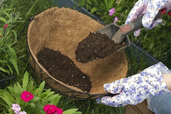 Peat alternatives: 11 peat substitutes for improving soil