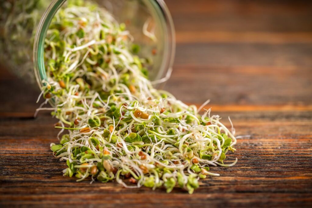 Sprouts in a glass jar