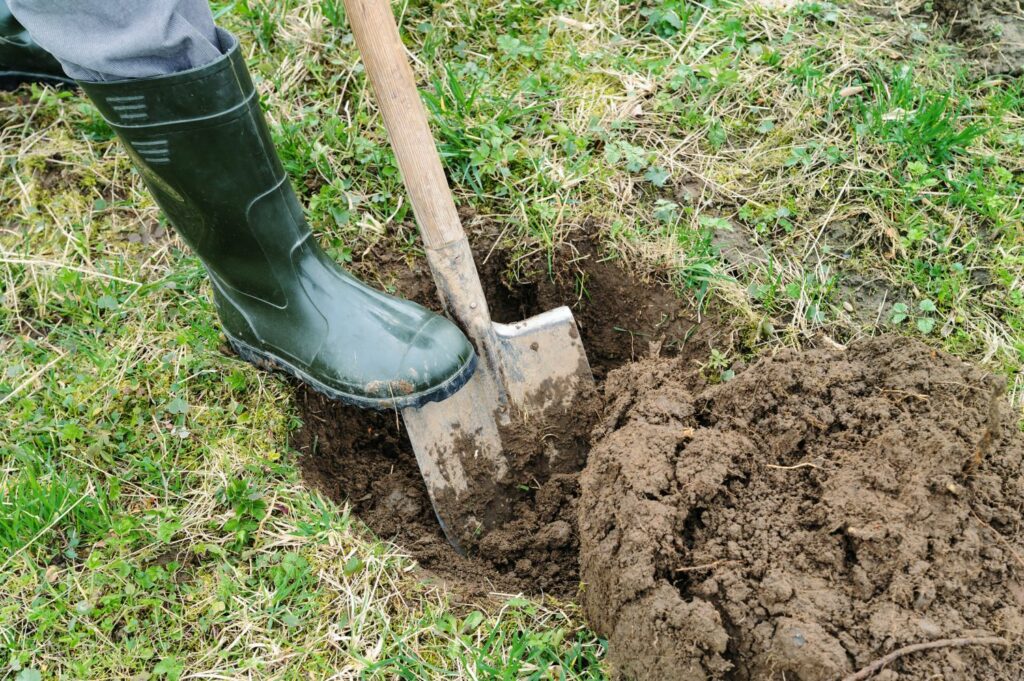 Person digging a planting hole