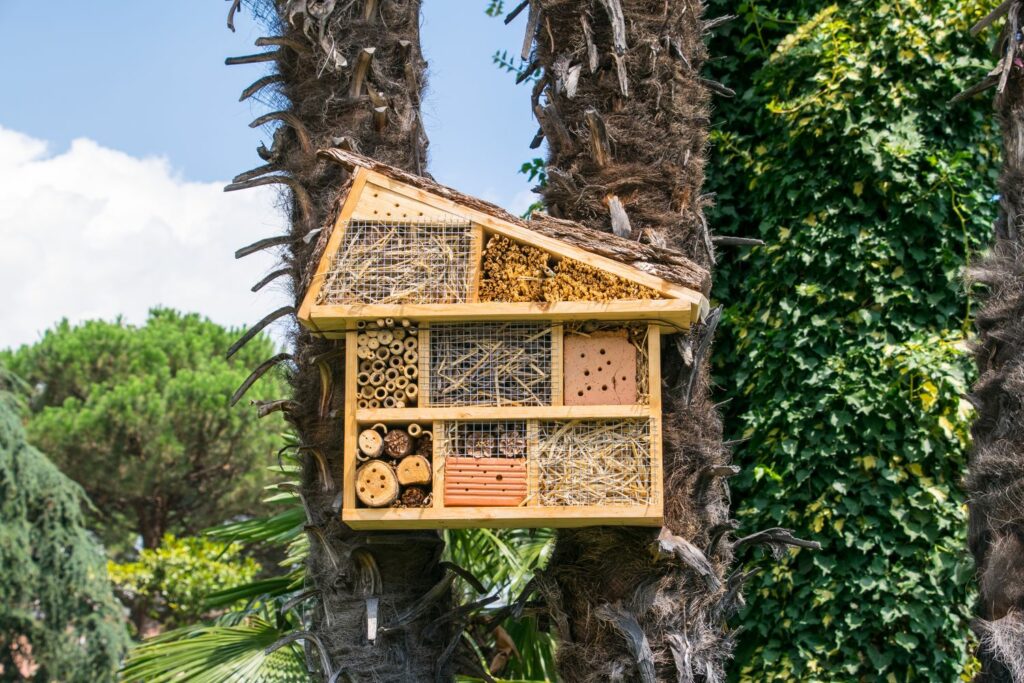 Wooden bee house in a tree