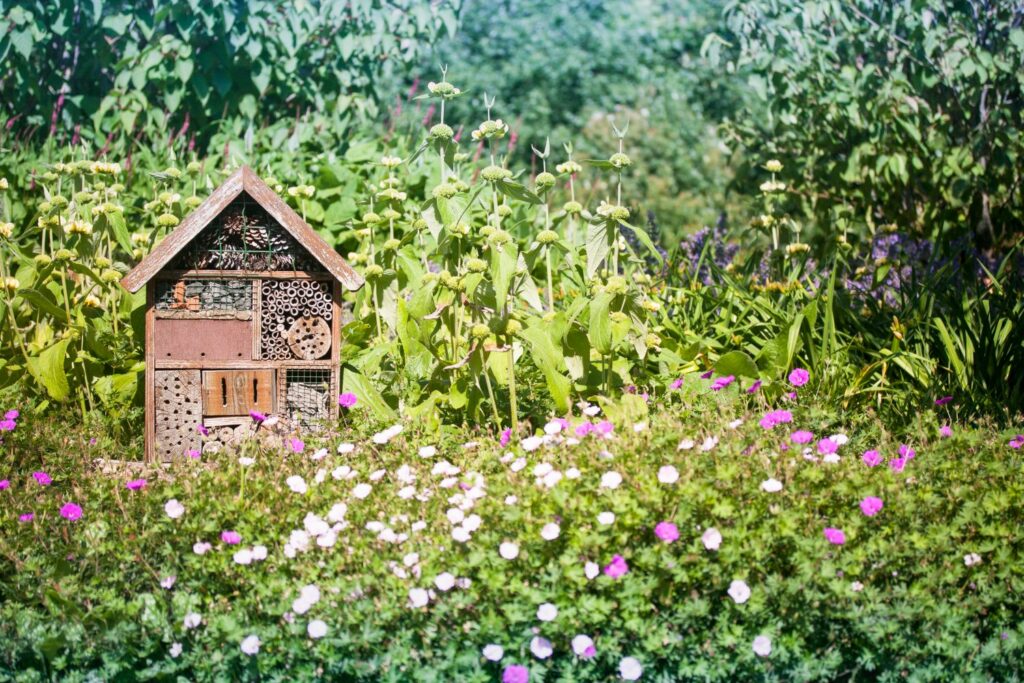 Bee house surrounded by wild flowers