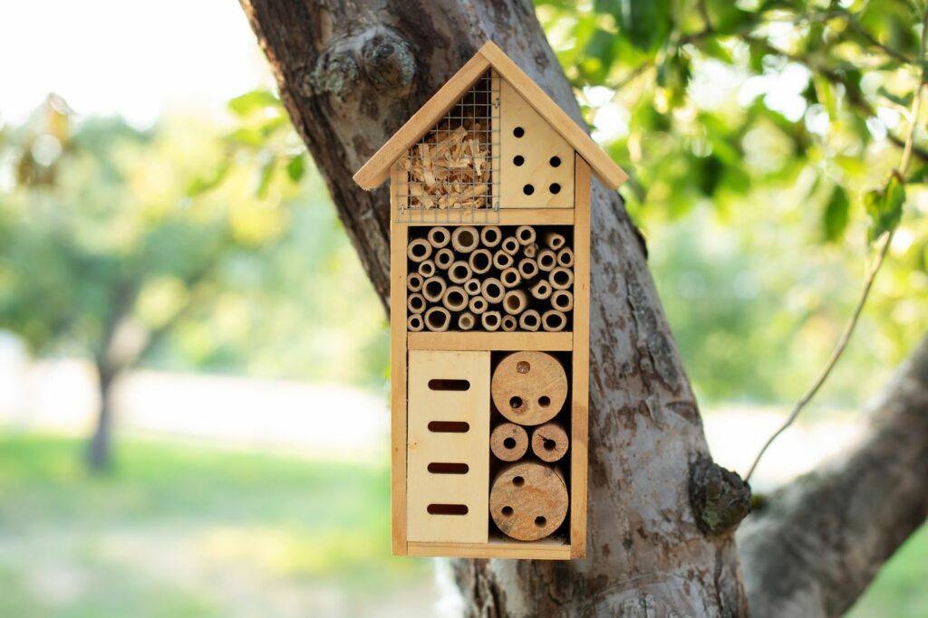 Bug house in a tree