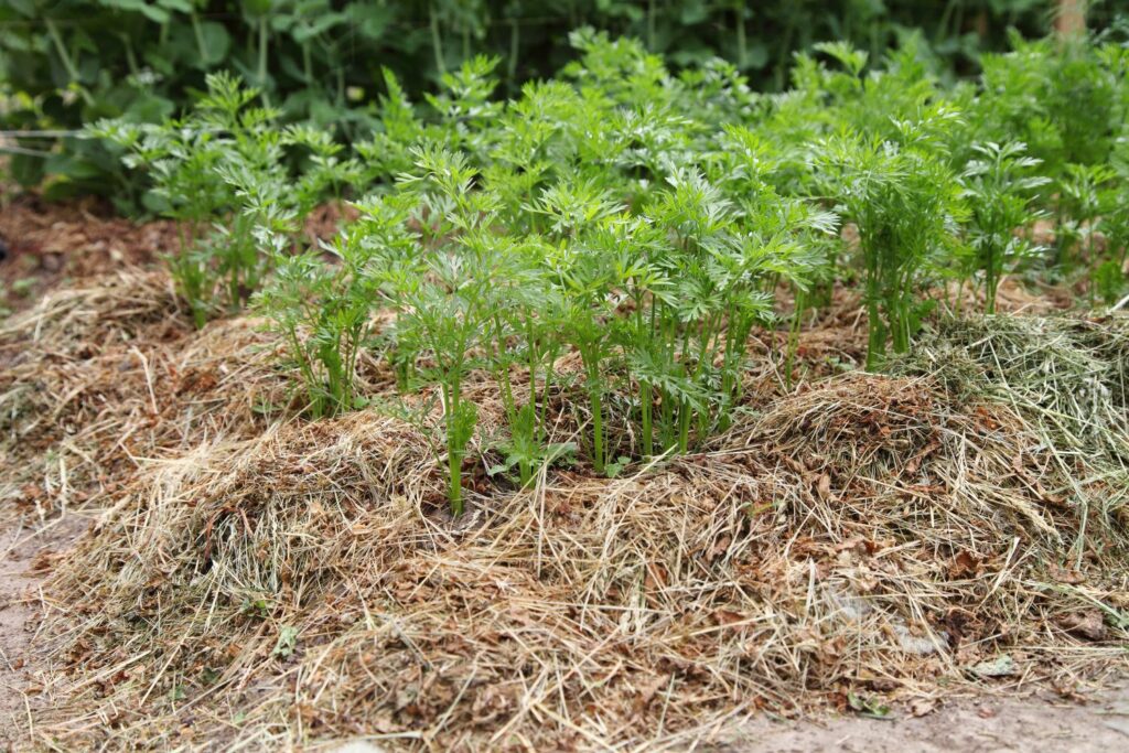 mulch made from many materials