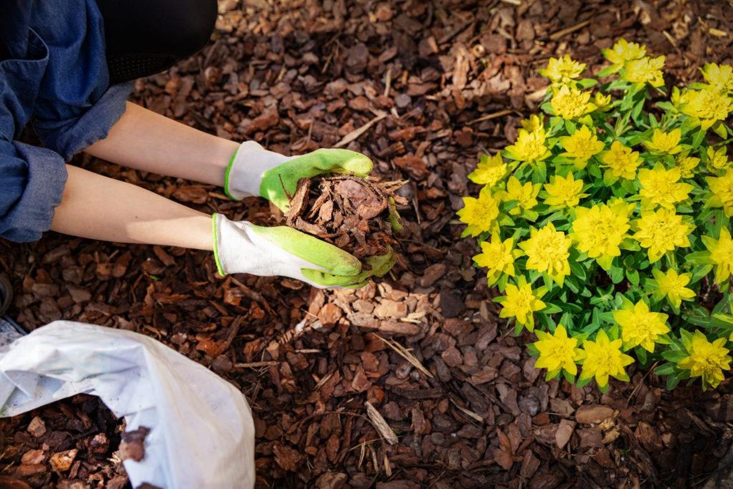 Woodland Mulch