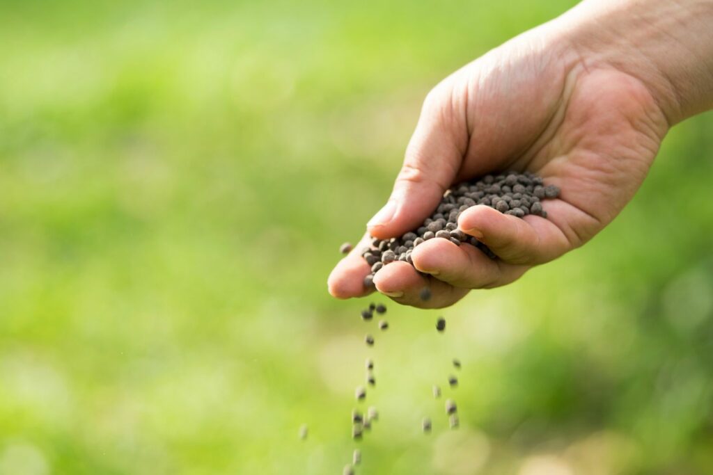 hand holding granular fertiliser