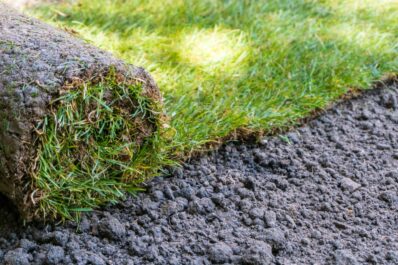 How to lay turf: advantages & expert guidance