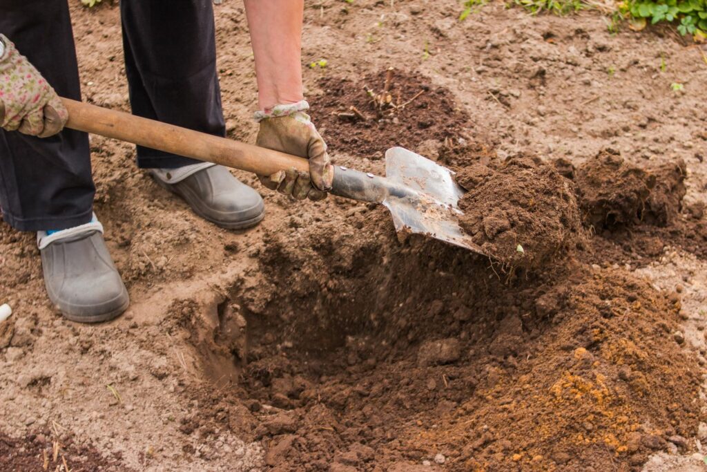 A person using a spade to dig a hole