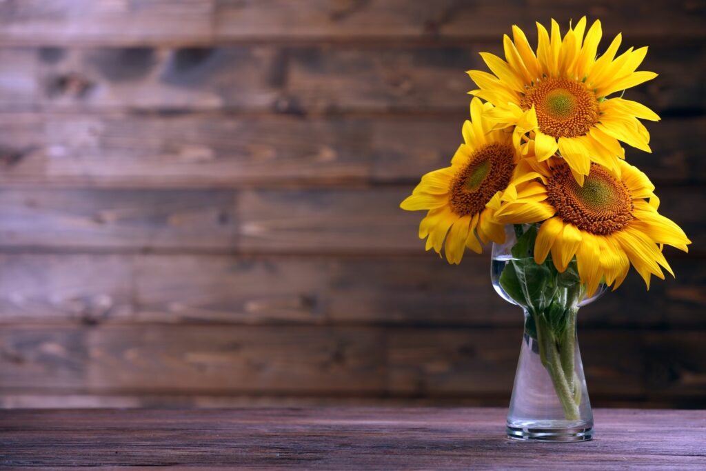 Sunflowers in a transparent vase