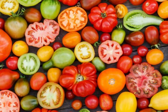 Tomato varieties: the 60 best new & heirloom varieties