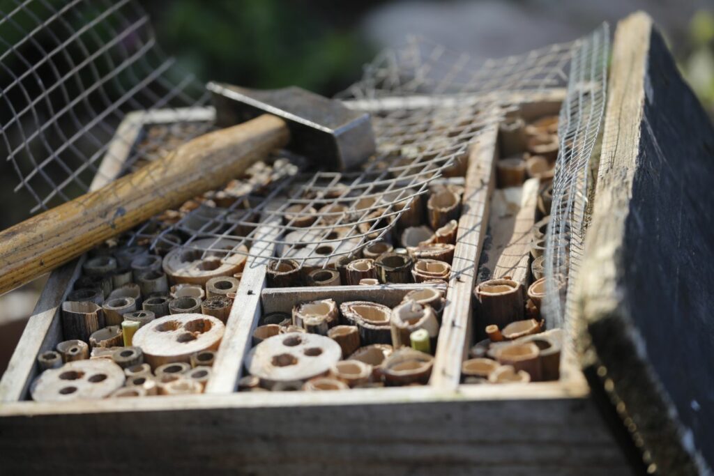 A wire grate over the bee house