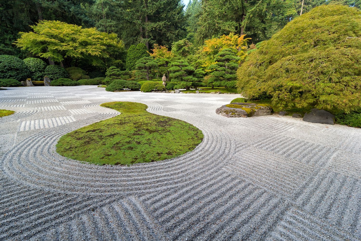 Premium Photo  Harmony of Bonsai in Zen Garden