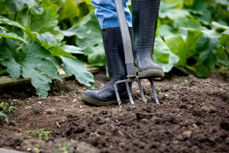 Soil cultivation how to loosen soil Plantura