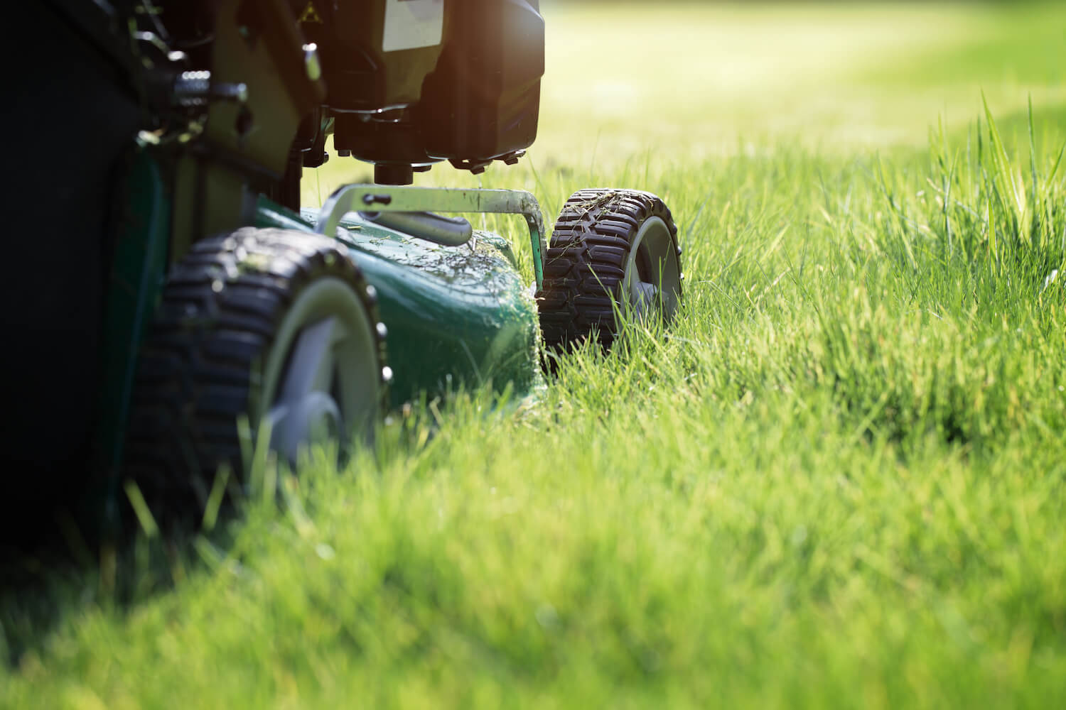 lawn mower and long grass