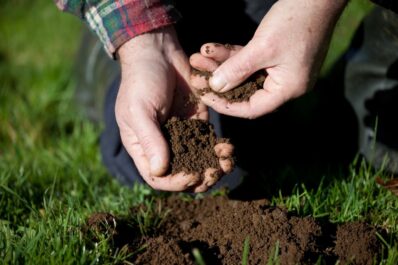 Soil cultivation: how to loosen compacted soil