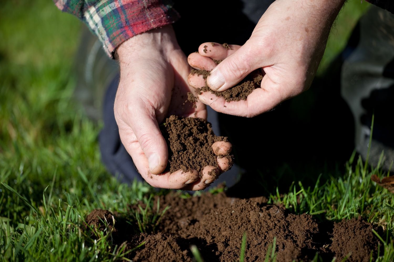 soil-cultivation-how-to-loosen-soil-plantura