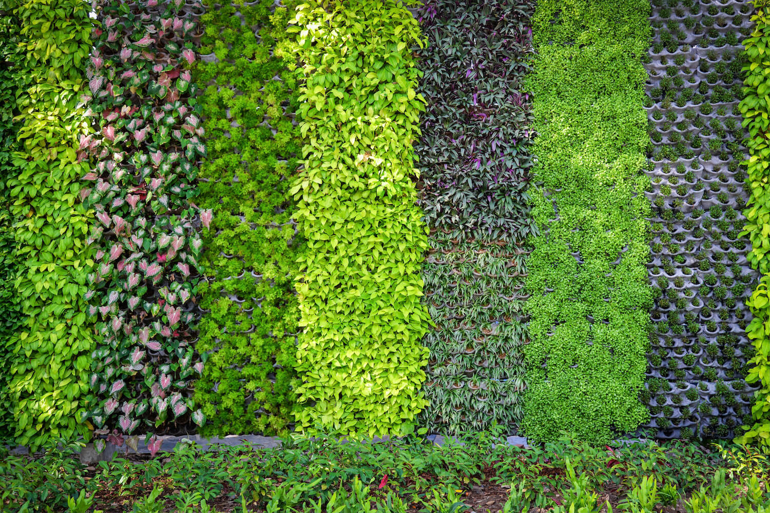 Stripy green vertical garden on wall
