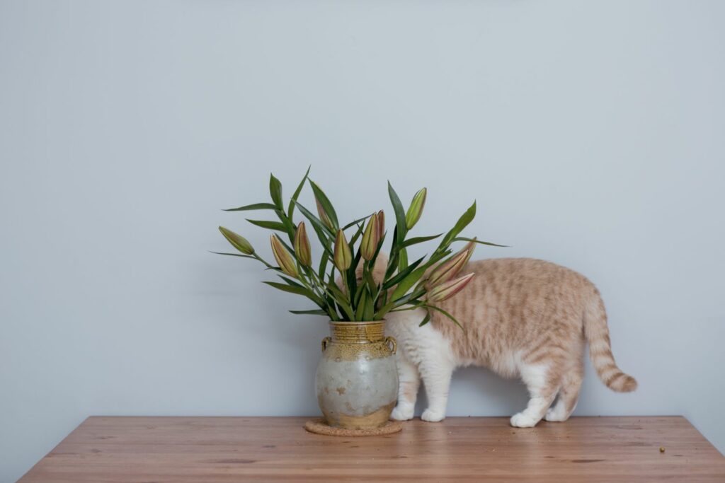 Cat behind lilies in a vase