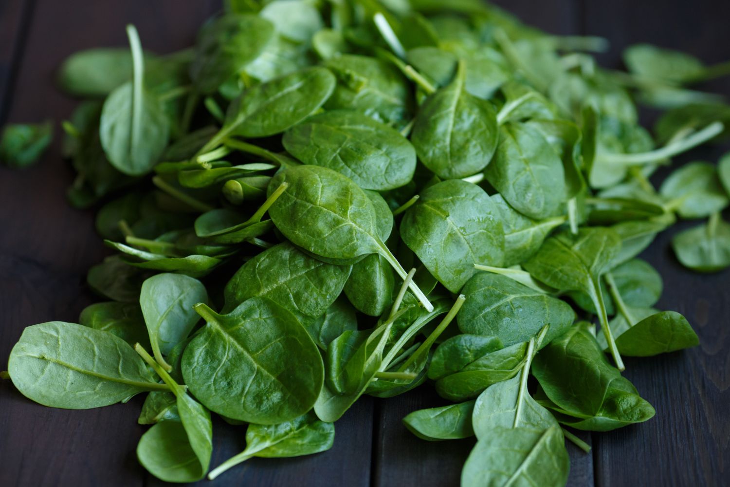 Best Types Of Spinach To Grow In Your Garden Plantura