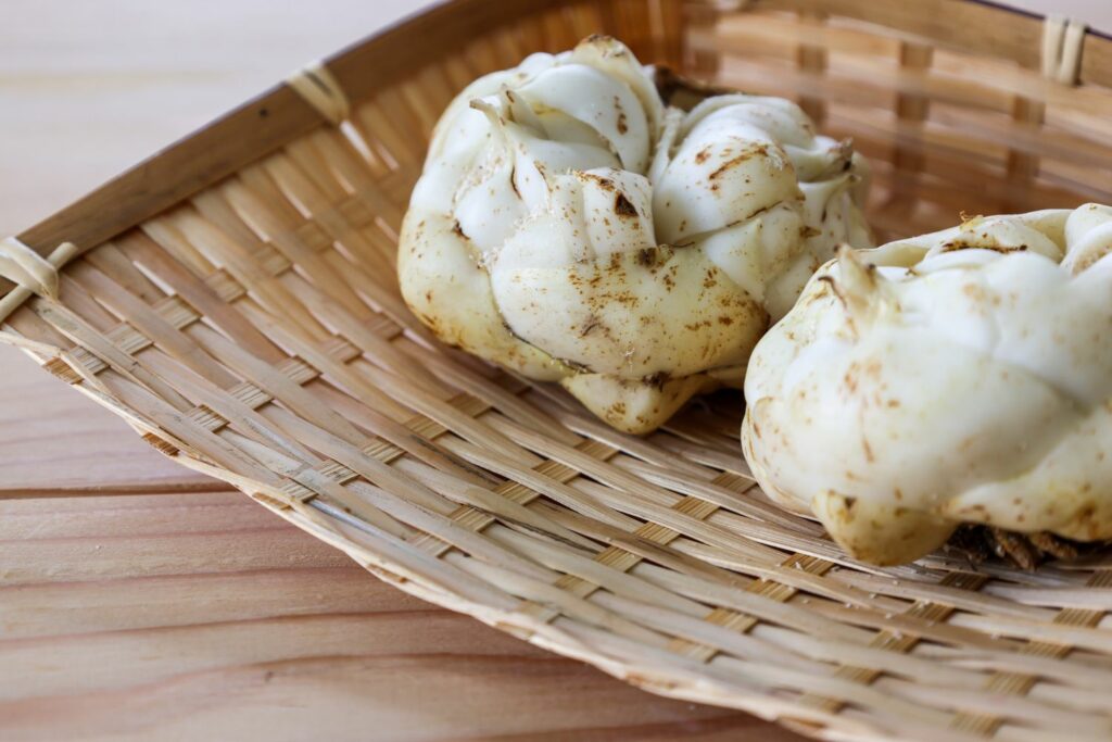 Two lily bulbs in a bowl