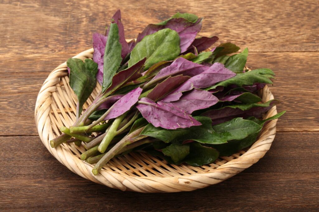 Green and purple okinawa spinach