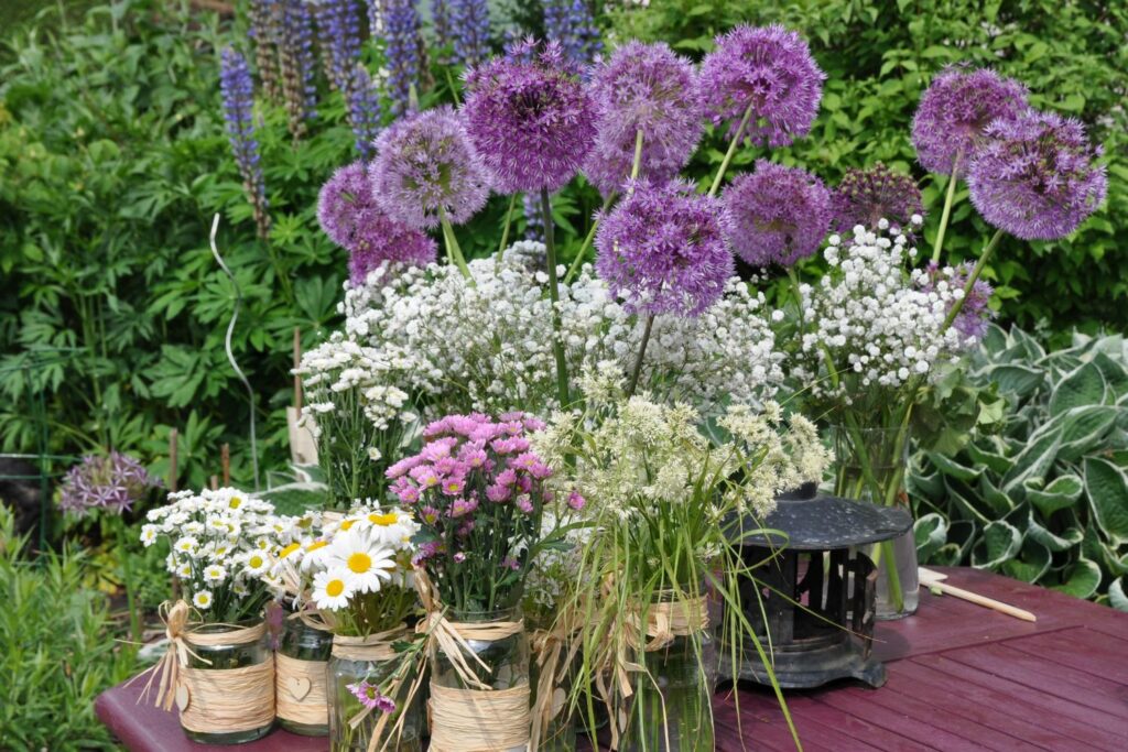 Allium cut with other flowers