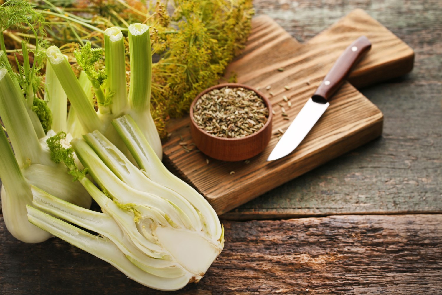 Fennel used for cooking