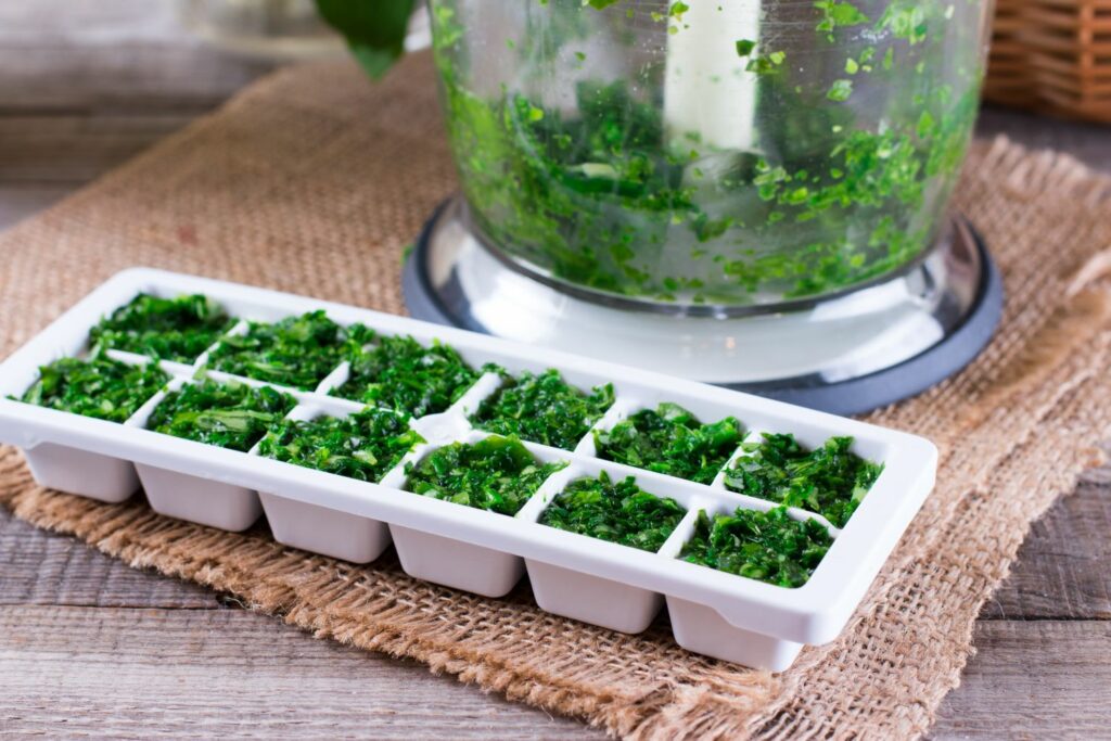 Pepperweed shredded in ice cube trays