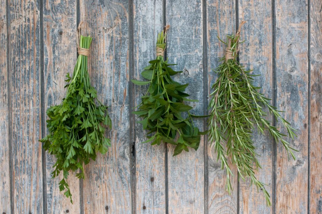 hanging bundles of herbs