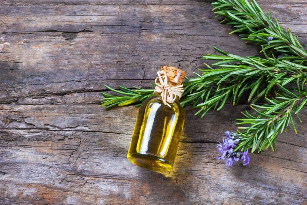 Small bottle of rosemary oil