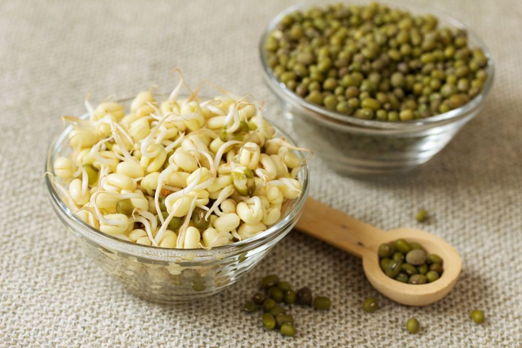 Bowls of sprouted and unsprouted mung beans
