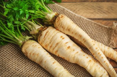 Parsley root: how to grow Hamburg parsley at home