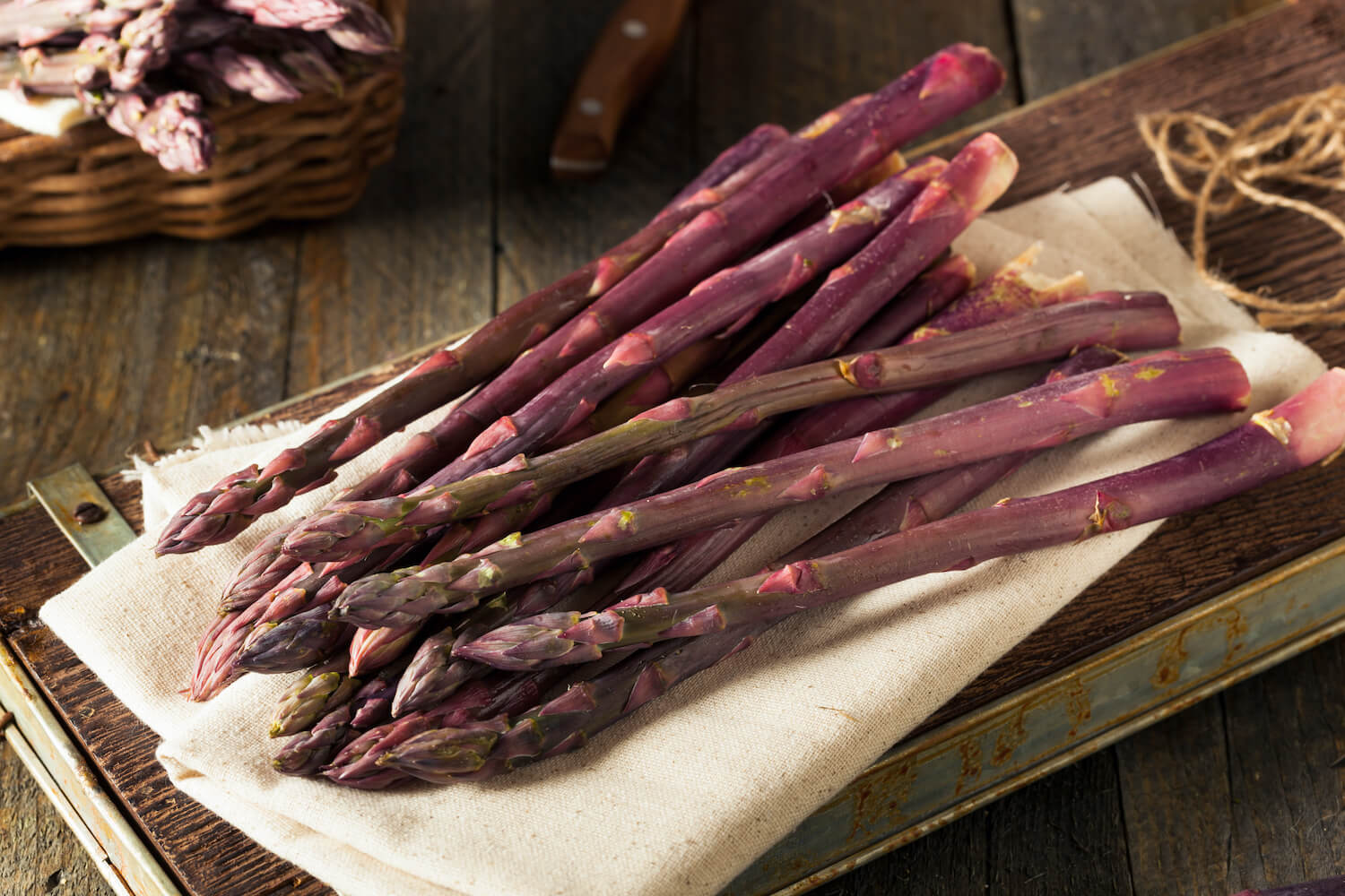 Purple asparagus on a cloth