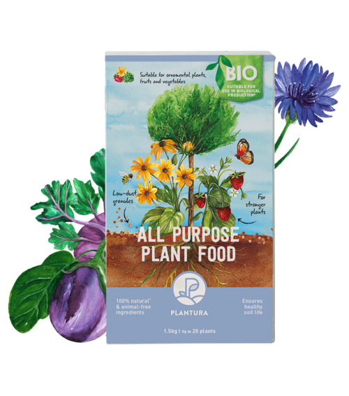 All Purpose Plant Food, 1.5kg