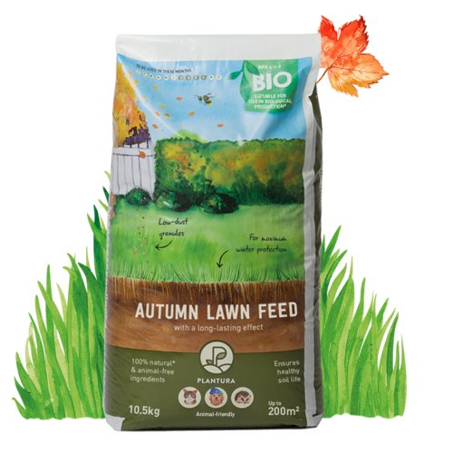 Autumn Lawn Feed 10.5kg, 200m2 coverage