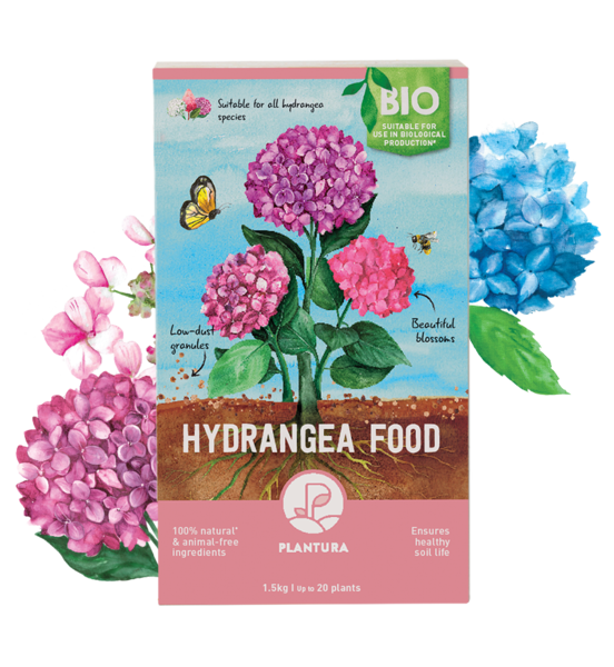 Hydrangea Food, 1.5kg