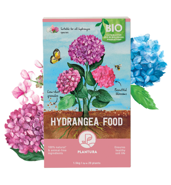 Hydrangea Food, 1.5kg
