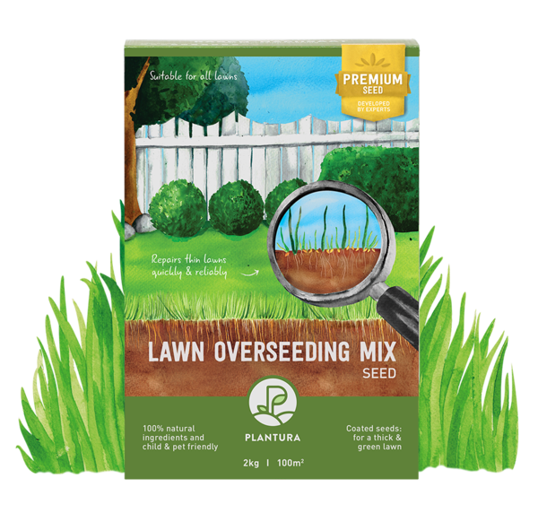 Lawn Overseeding Mix, 2kg, 100m2