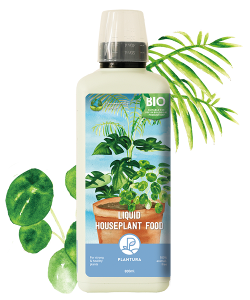 Liquid Houseplant Food, 800ml