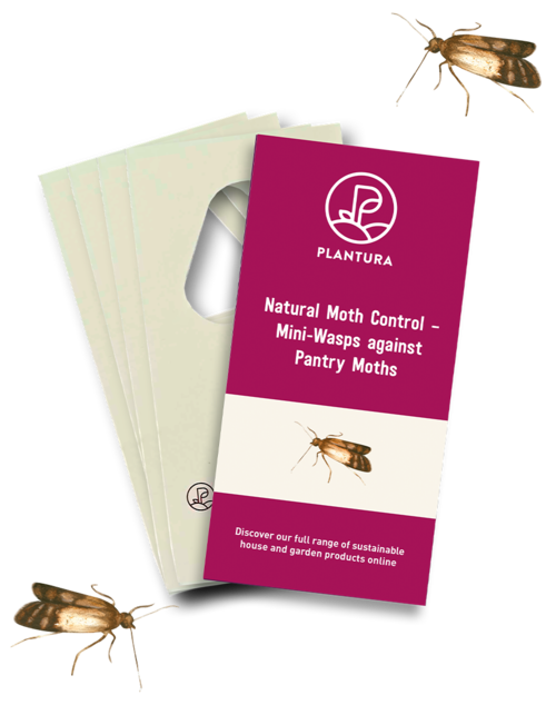 https://plantura.garden/uk/wp-content/uploads/sites/2/2022/11/buy-plantura-mini-wasps-pantry-moths.png?x63657