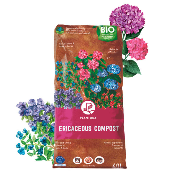 Organic Ericaceous Compost, 40L