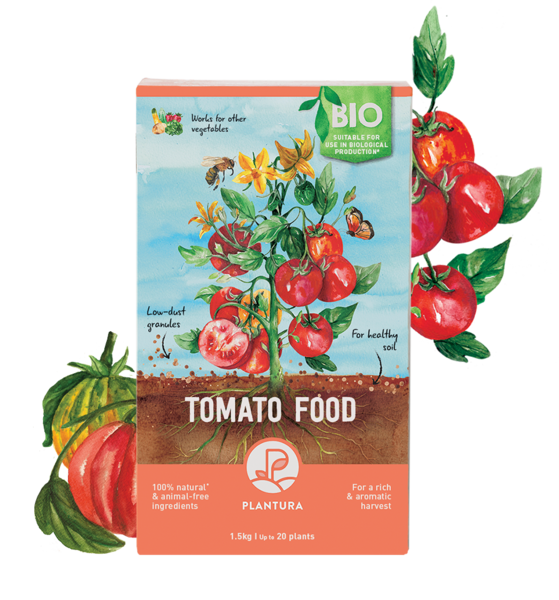 Tomato Food, 1.5kg