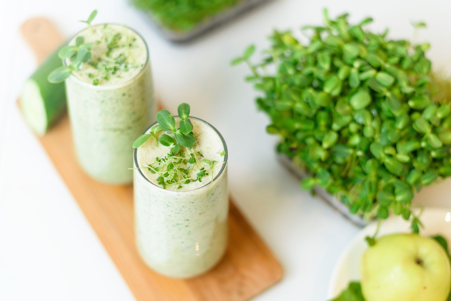 What are microgreens? Plantura