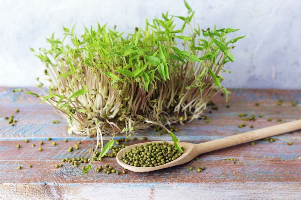 Spoon of seeds next to microgreens