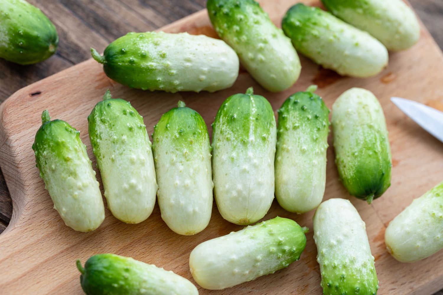 Small, spiny, green and white cucumbers