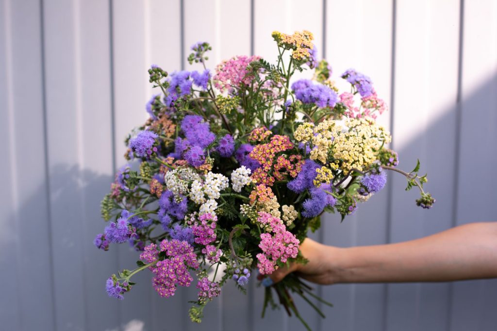Person holding bouquet of flowers