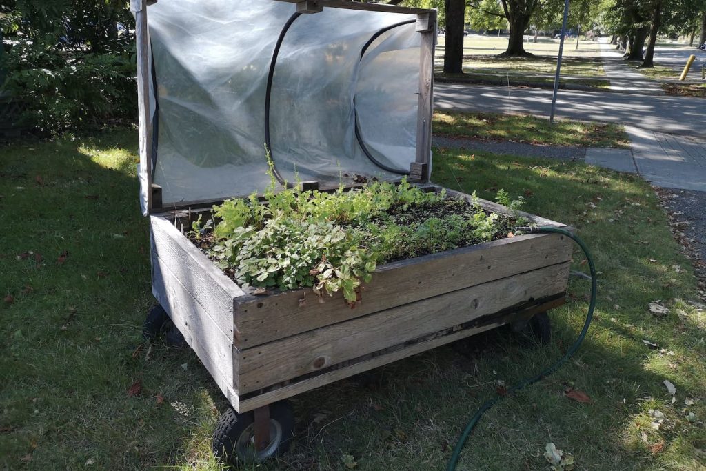 A raised bed on wheels