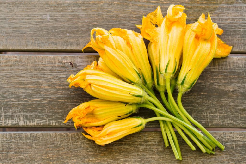 Harvested male courgette flowers