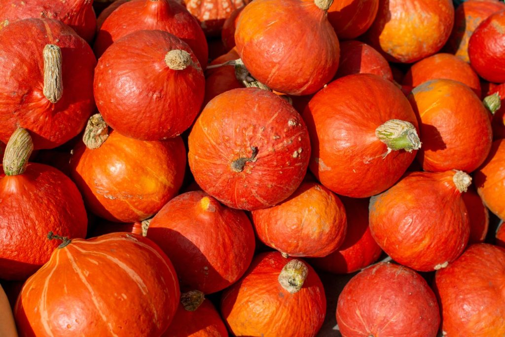 A mass of hokkaido pumpkins piled up