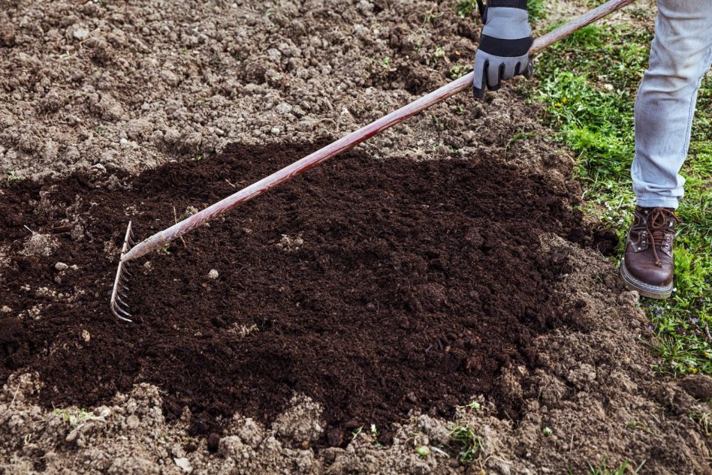 Raking soil prior to seed sowing